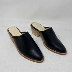 Premium NY LA Foxhill Size 8